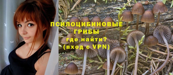 PSILOCYBIN Касимов