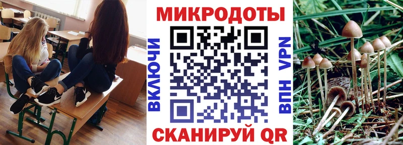 Купить закладки  Ленинградская  Псилоцибиновые грибы мицелий 